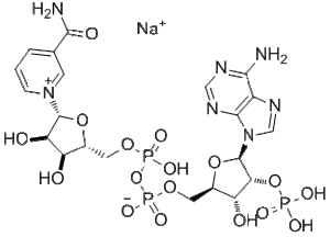 CAS 1184-16-3 NADP monosodium salt – BOC Sciences