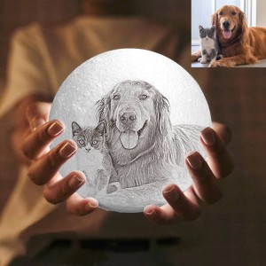 3 Color Personalized Custom 3D Printing Photo Moon Light Lamp For Pets,Dogs&Puppy – Ge ...