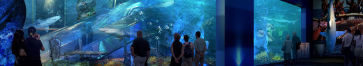 Acrylic aquarium, also known as plexiglass, is an important thermoplastic developed earlier. It  ...