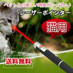 Cat laser toy