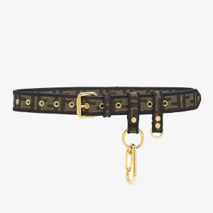 Fendi Multi-accessorized Belt In Fabric Brown