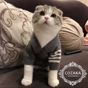 高品質 ペットウェア 猫服 秋冬 あったかい 防寒 犬の服 トリコロール オシャレ ドッグウェア キャット ...