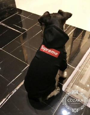 シュプリーム 犬服 パーカー supreme 犬用 フーディー ボックスロゴ ドッグウェア supreme パピーウェ ...