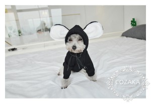 超かわいい！うさぎ風 ビッグ耳付のパーカー 犬服 プルオーバー おしゃれ ドッグウェア 個性 ストリー ...