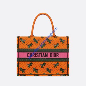 Dior Book Tote Dragon & Fire Embroidery Canvas Orange