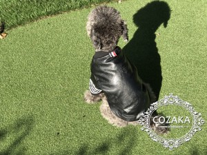 ブランド ペットウェア 犬の服 オシャレ 猫服 レザー 革 防寒 あったかい カッコイイ オシャレ 人気 ド ...