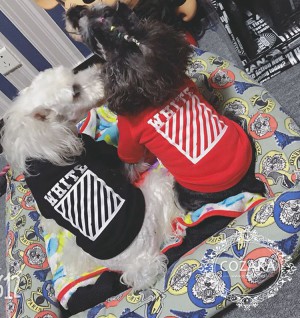 off-white 犬服 スウェット 裏起毛 オフホワイト ドッグウェア パーカー おしゃれ ブランド ペットウェ ...