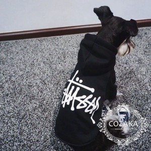 ステューシー ロゴパーカー 犬服 おしゃれ stussy ドッグ用フーディー プルオーバー stussy ドッグウェ ...