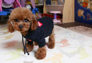 犬服 シュプリーム ボックスログパーカー supreme ドッグウェア 防寒つなぎカバーオール 洋服 小型犬用 ...