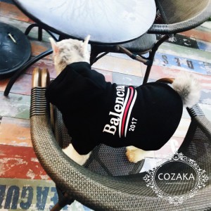 超レア！バレンシアガ 犬服 パーカー パロディ balenciaga プルパーカー おしゃれ ドッグウェア 小型犬 ...