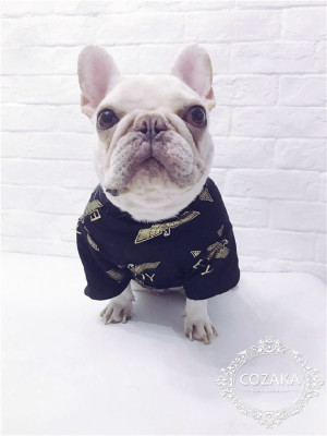 boy london 犬服 スウェット ゴールドイーグル ボーイロンドン ドッグウェア おしゃれ boy london スト ...