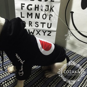 チャンピオン 犬用パーカー bigロゴ champion 犬服 プルオーバー おしゃれ champion ストリート ドッグ ...