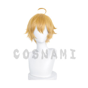 原神 トーマ コスプレウィッグ 新品 稲妻  かつら げんしん 送料無料
https://www.cosnami.com/product ...