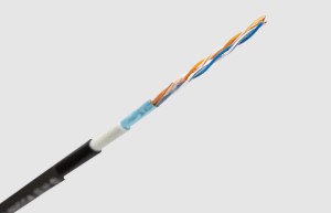 As a leading China FTP CAT5E 2 Pair Of Double Sheath Lan Cable factory and OEM FTP CAT5E 2 Pair  ...