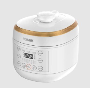 Power	700W
Features	1、one-button pressure release
2、70Kpa high pressure cooking
3、 removable  ...