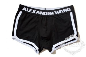 alexander wang ボクサーパンツ メンズ アレキサンダーワン ボクサーブリーフ おしゃれ alexander wang ...