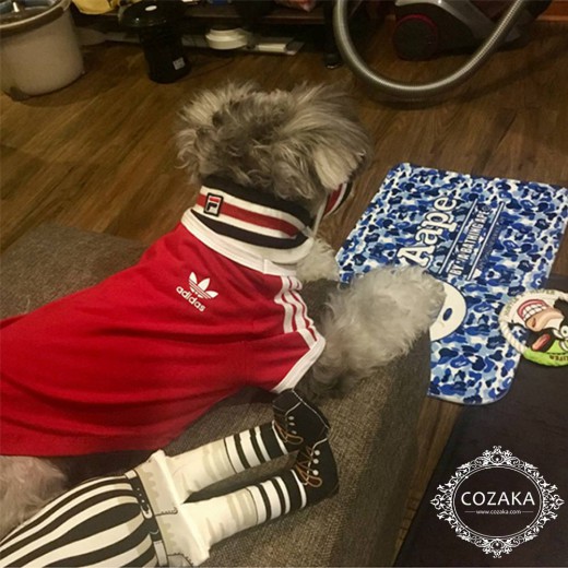 originals オリジナルス アディダス 犬服 adidas パピーウェア tシャツ かわいい スポーツブランドt ブ ...