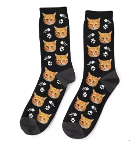https://catssocks.com/
cats socks
Cat Socks
Custom Cat Socks
Classic Socks With Cats
Socks For C ...
