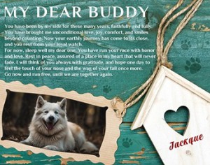PICOONAL’s Pet Memorial Canvas Gifts offer you a tangible way to honor the life of your ch ...