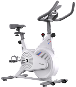 To effectively incorporate spinning indoor cycling into a rehabilitation program, several factor ...