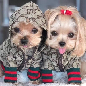 グッチ犬服 着心地よい フェンディペット用ベッド モンクレール大人パーカー
ご覧頂いて、igucu店は心 ...