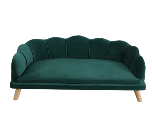 In every home, pets are not just animals; they are beloved family members. They share our joys,  ...