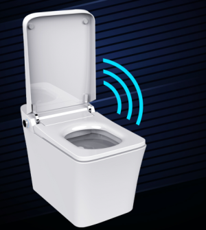 A heated self cleaning toilet integrates heating and automatic cleaning systems in one unit.
Cer ...