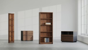 Premium Wood Bookcase with Doors | Lighted Bookcase/Bookshelf for Home Office – Vernal
Upg ...
